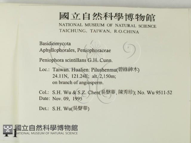 登錄號:F0011993藏品圖，第2張