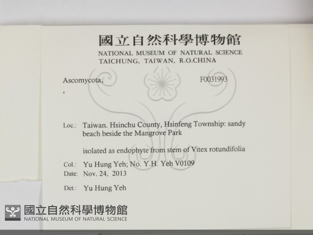 登錄號:F0031993藏品圖，第2張