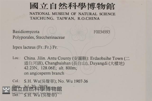 登錄號:F0034993藏品圖，第2張