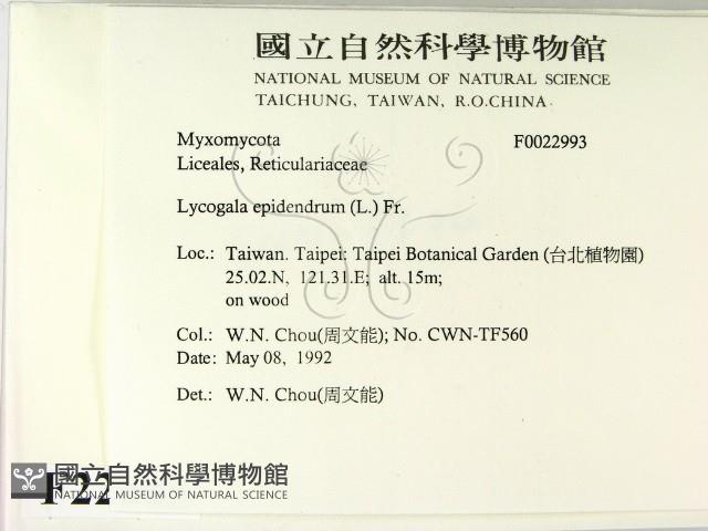 登錄號:F0022993藏品圖，第2張