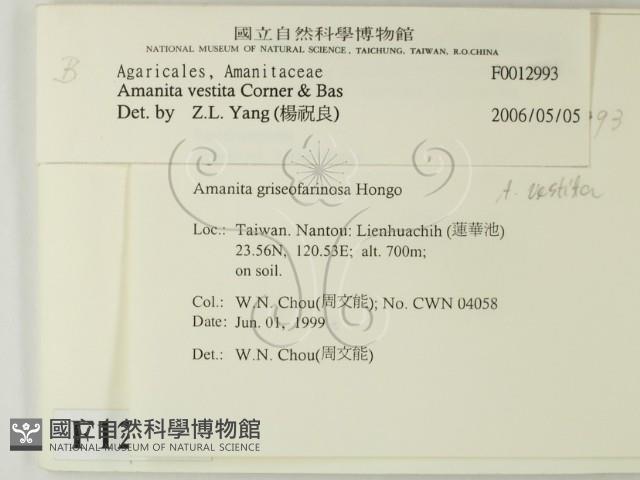 登錄號:F0012993藏品圖，第2張