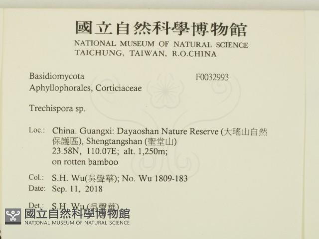 登錄號:F0032993藏品圖，第2張