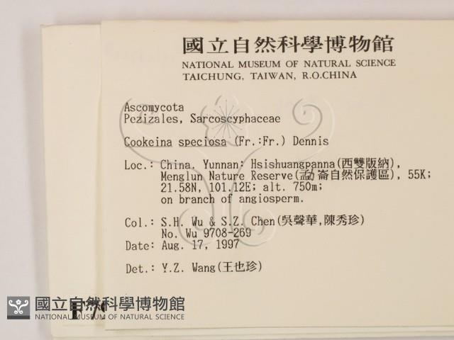 登錄號:F0007993藏品圖，第2張