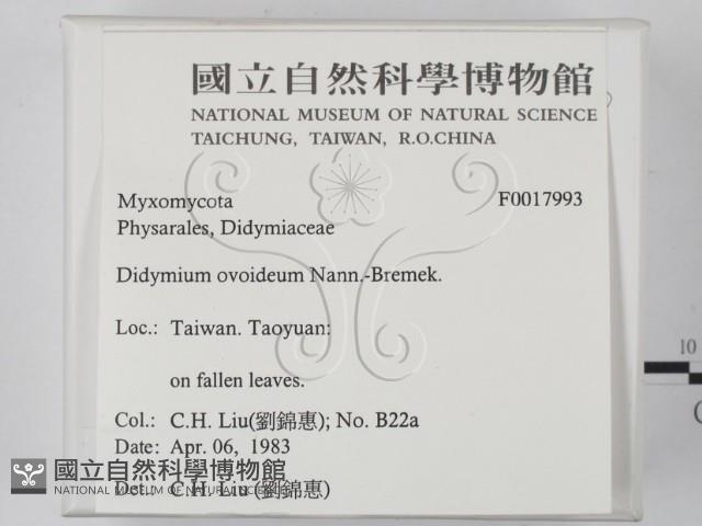登錄號:F0017993藏品圖，第2張