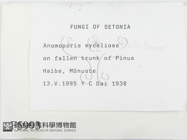 登錄號:F0005993藏品圖，第2張