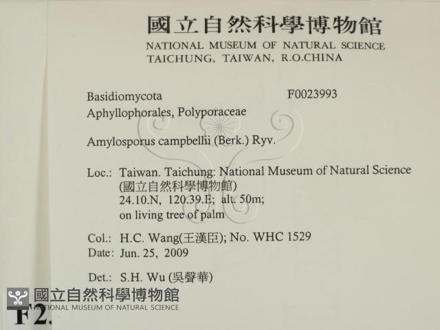 登錄號:F0023993藏品圖，第2張