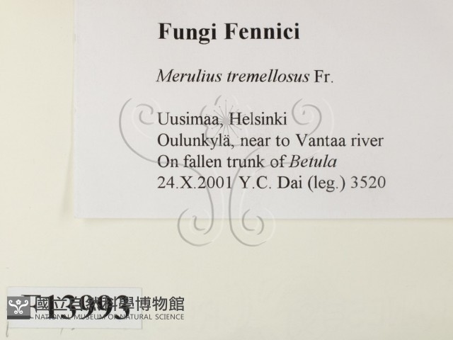 登錄號:F0013993藏品圖，第2張