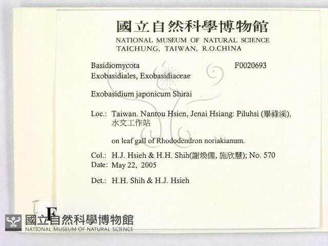 登錄號:F0020693藏品圖，第2張