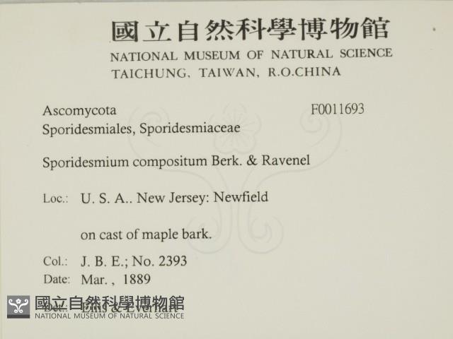 登錄號:F0011693藏品圖，第2張