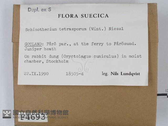 登錄號:F0004693藏品圖，第2張