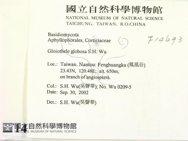 登錄號:F0014693藏品圖，第2張