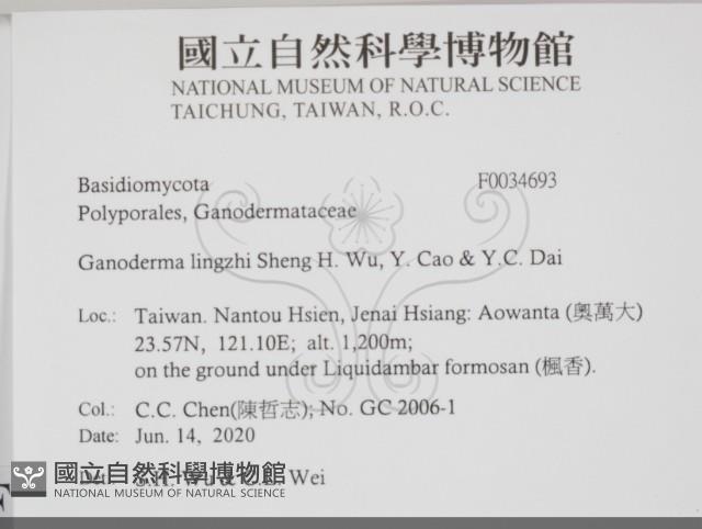 登錄號:F0034693藏品圖，第2張