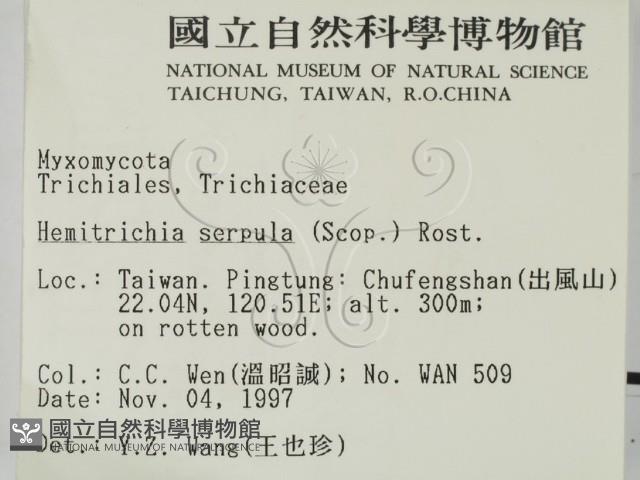 登錄號:F0007693藏品圖，第2張