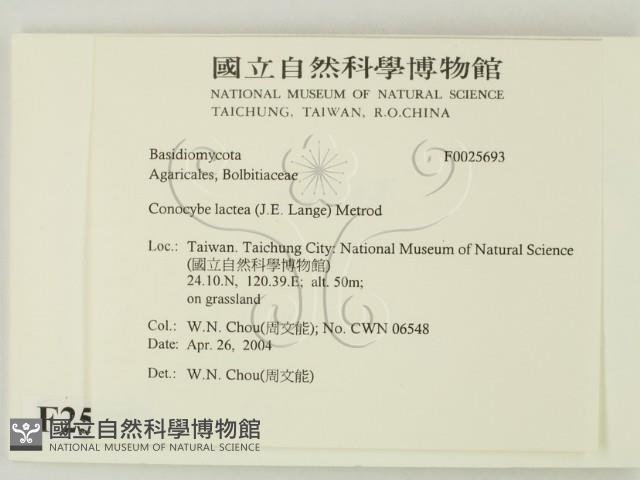 登錄號:F0025693藏品圖，第2張