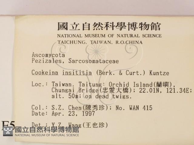 登錄號:F0005693藏品圖，第2張