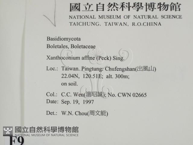 登錄號:F0009693藏品圖，第2張