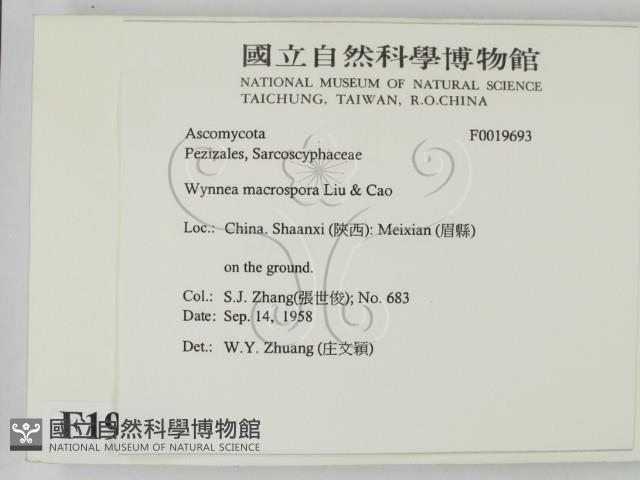 登錄號:F0019693藏品圖，第2張