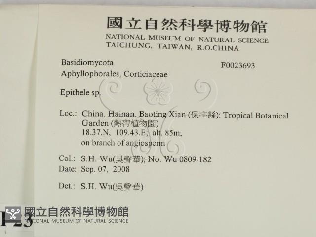 登錄號:F0023693藏品圖，第2張