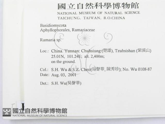 登錄號:F0013693藏品圖，第2張