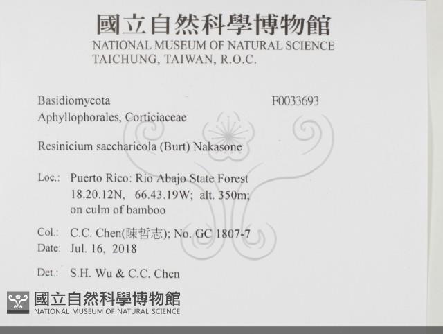 登錄號:F0033693藏品圖，第2張