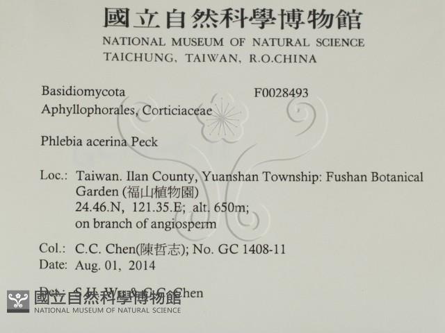 登錄號:F0028493藏品圖，第2張