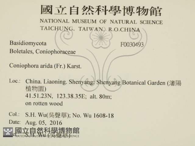 登錄號:F0030493藏品圖，第2張
