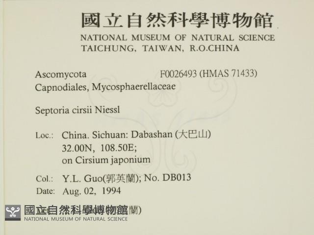 登錄號:F0026493藏品圖，第2張