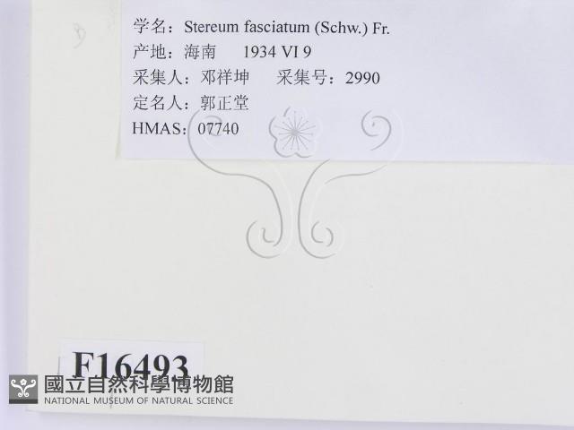 登錄號:F0016493藏品圖，第2張