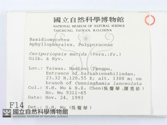 登錄號:F0001493藏品圖，第2張