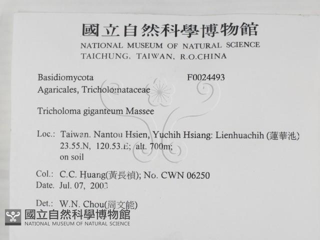 登錄號:F0024493藏品圖，第2張