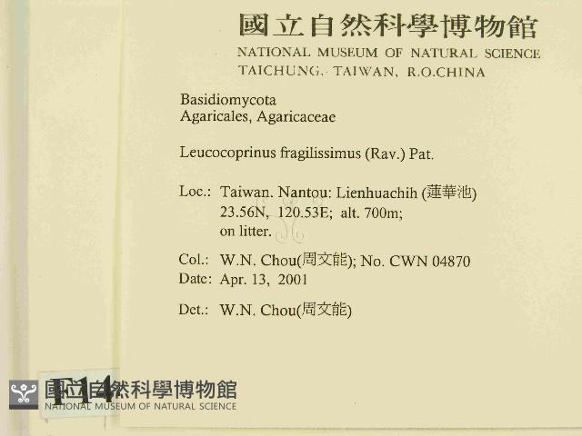 登錄號:F0014493藏品圖，第2張