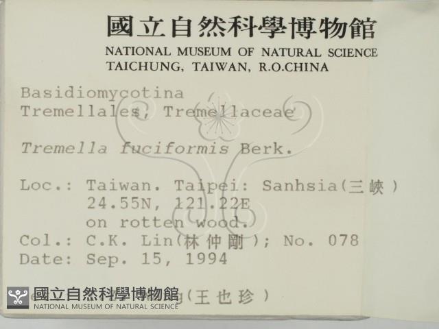 登錄號:F0002493藏品圖，第2張