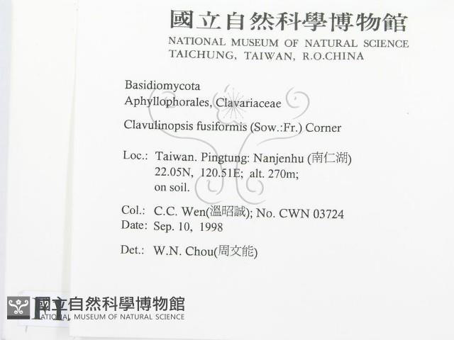 登錄號:F0012493藏品圖，第2張