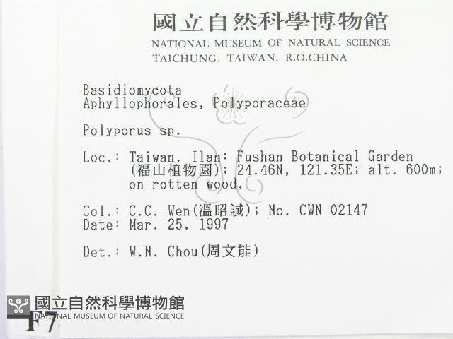 多孔菌屬藏品圖，第2張