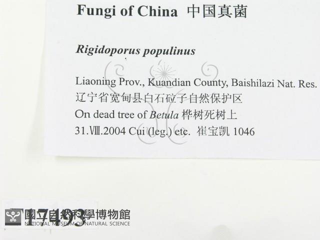 登錄號:F0017493藏品圖，第2張