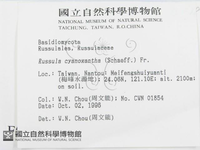 登錄號:F0005493藏品圖，第2張