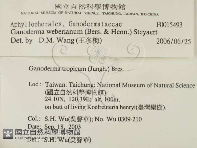 登錄號:F0015493藏品圖，第2張