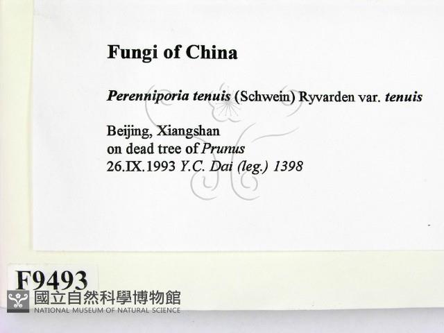 登錄號:F0009493藏品圖，第2張