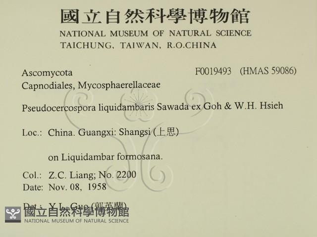 登錄號:F0019493藏品圖，第2張