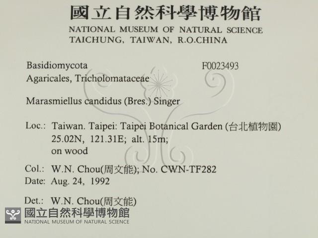 登錄號:F0023493藏品圖，第2張