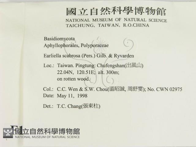 登錄號:F0010793藏品圖，第2張
