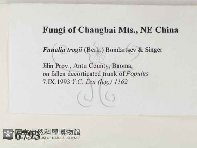 登錄號:F0006793藏品圖，第2張