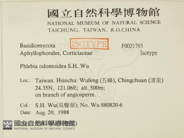 登錄號:F0021793藏品圖，第2張