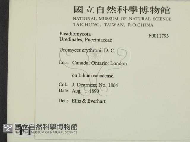 登錄號:F0011793藏品圖，第2張