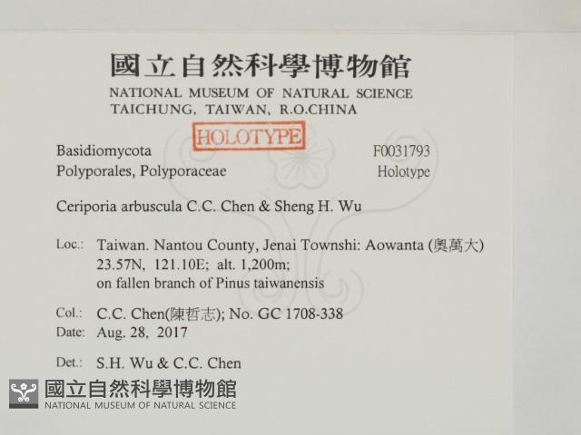 登錄號:F0031793藏品圖，第2張
