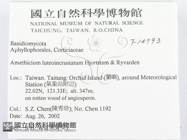 登錄號:F0014793藏品圖，第2張