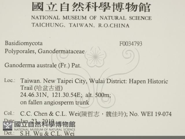 Accession Number:F0034793 Collection Image, Figure 2, Total 3 Figures