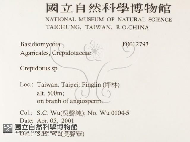 登錄號:F0012793藏品圖，第2張