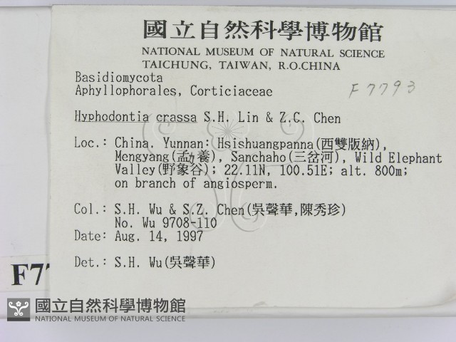 登錄號:F0007793藏品圖，第2張