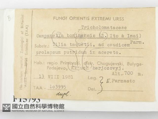 登錄號:F0015793藏品圖，第2張